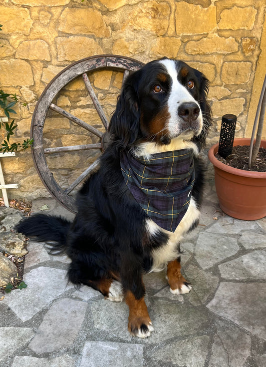 Bandana pour chien "Balade en forêt" CAFIDE
